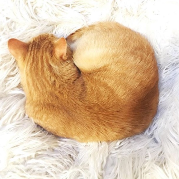 Hello! Nice to meet you! - Picture 6 of 7